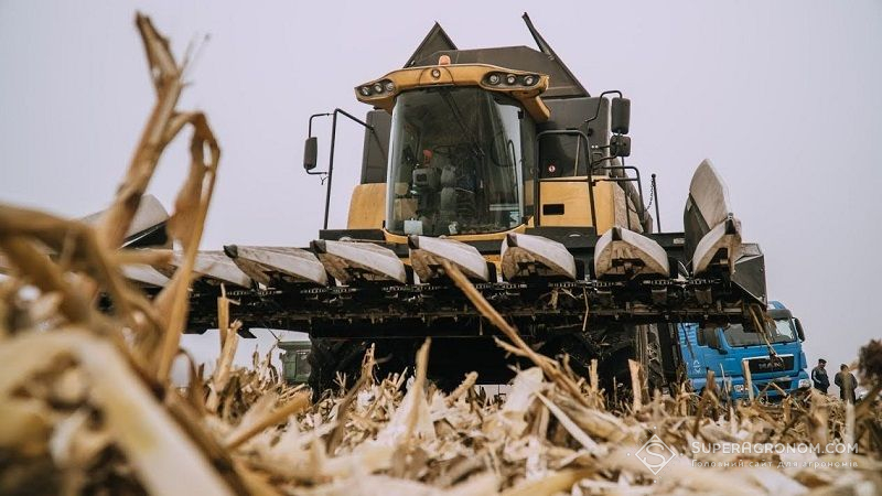 Опубліковано рейтинг областей України за валовим збором та урожайністю сільгоспкультур