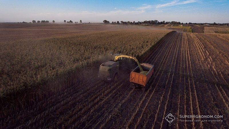 Валовий збір зернових на Полтавщині перевищив 1,9 млн тонн