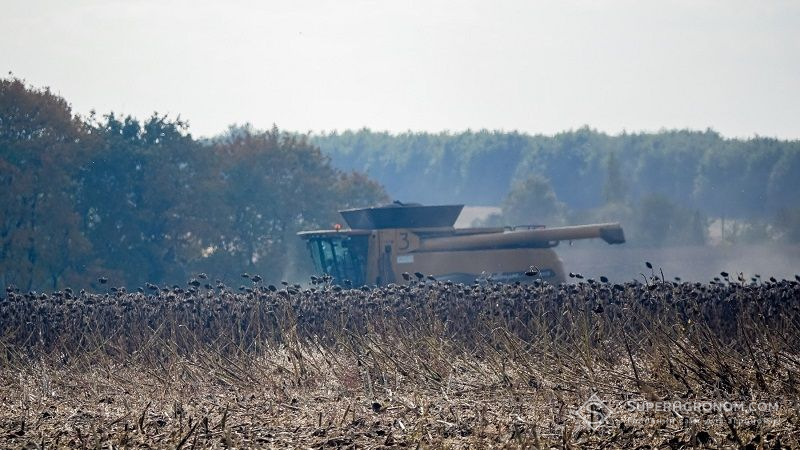 Названо області України з найнижчою врожайністю соняшника