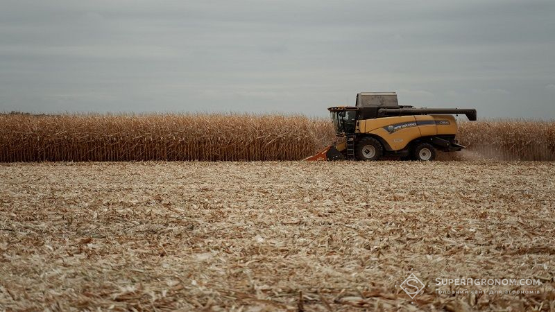 Оновлено рейтинг областей України за врожайністю кукурудзи в агросезоні 2021