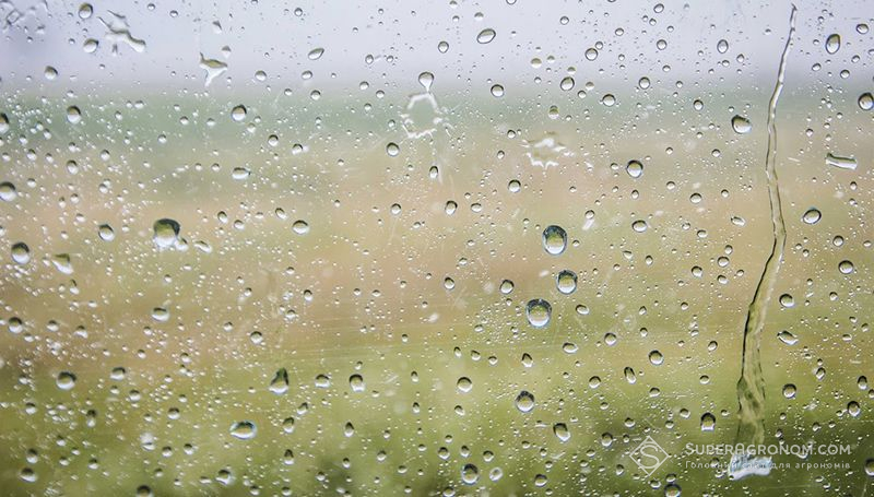 Короткочасні дощі та грози повсюдно, крім Півдня — прогноз на 21-22 травня