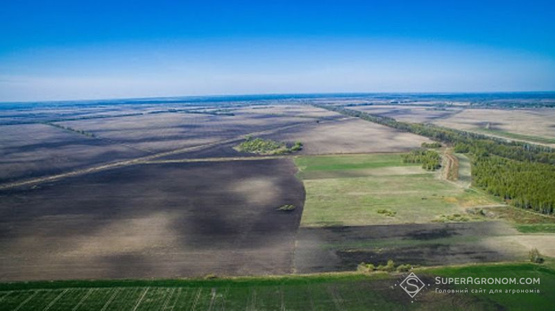 Вид полів з дрона