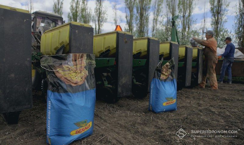 Насіння Dekalb можна отримати безкоштовно аграріям 10 областей до 21 квітня