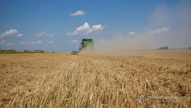 Одещина розпочала жнива-2024, очікують урожайність пшениці 3,5 т/га
