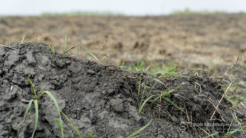 Аграрій поділився досвідом впровадження відновлювального землеробства 