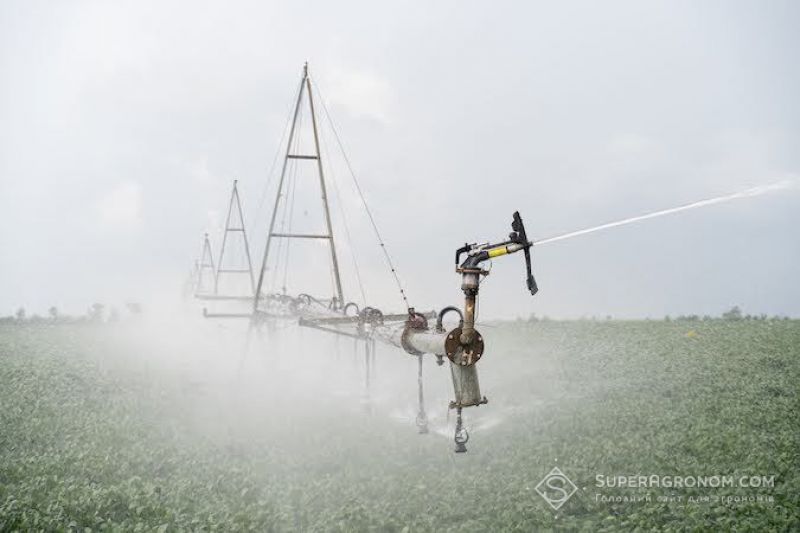 На Полтавщині збільшують площі поливу під вирощування овочів і пряних культур