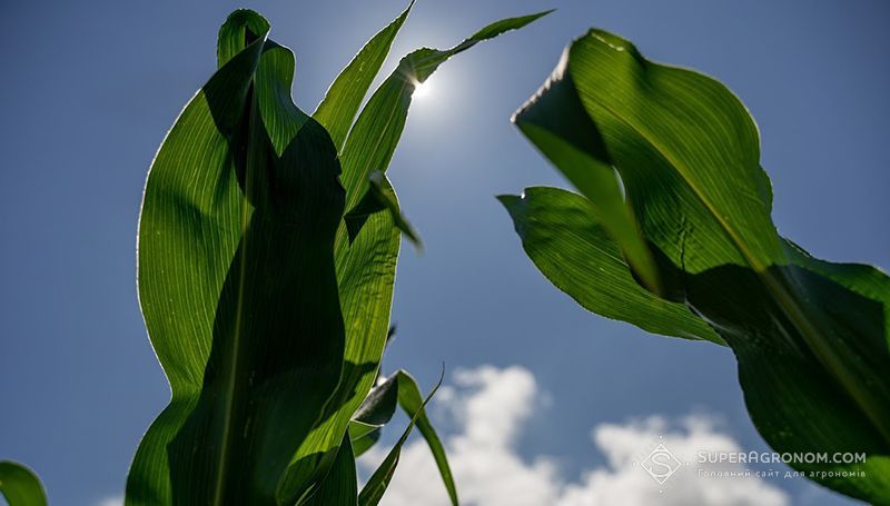 Звіти про викиди CO2 зачеплять весь агросектор