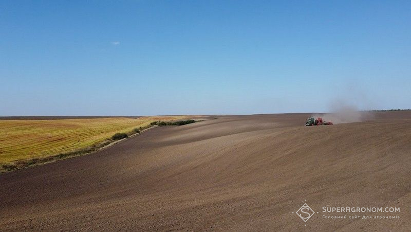 Сівба озимої пшениці