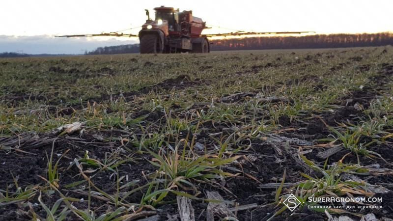 Вже з лютого на Дніпропетровщині розпочнуть підживлення озимих