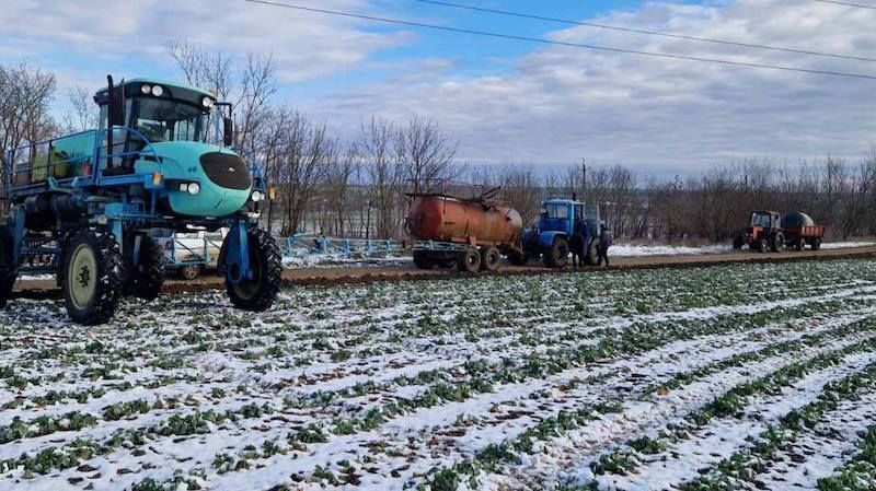 На Одещині в лютому вносять КАС, озимі знаходяться в гарному стані