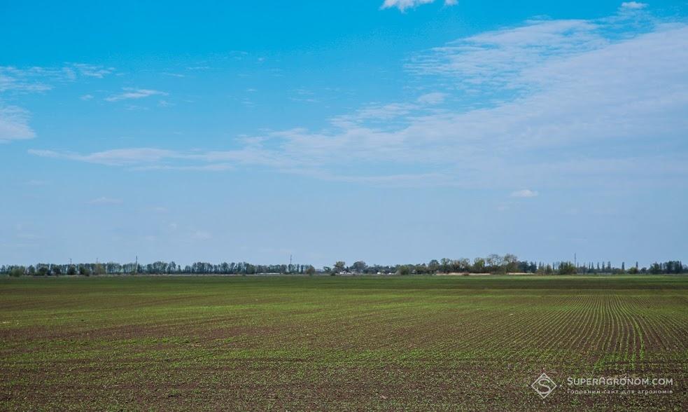 Посіви господарства