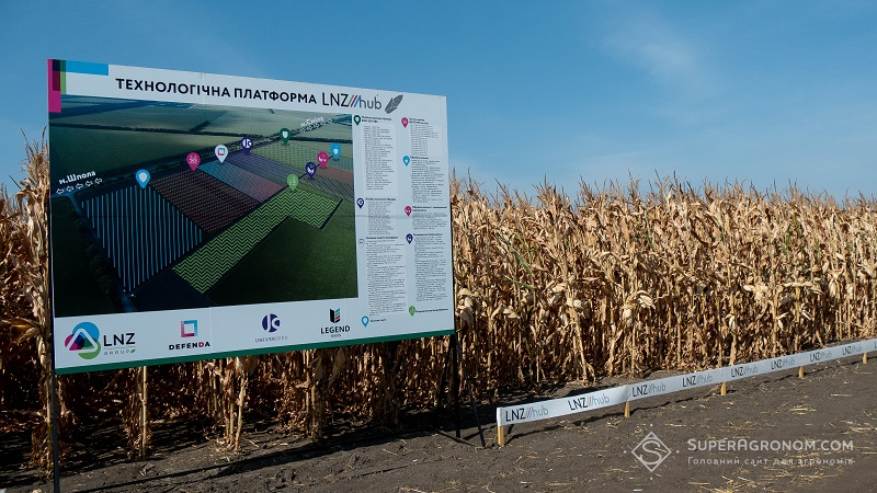 Кукурудза на демо-ділянках