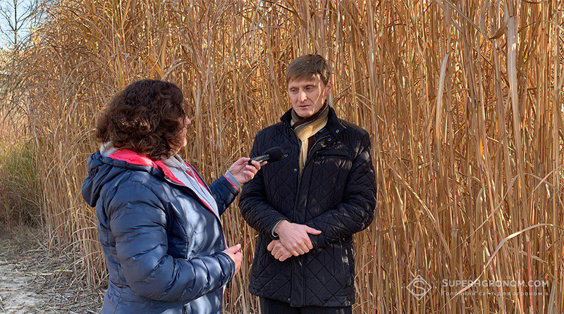 Олександр Ганженко, завідувач відділу технологій вирощування біоенергетичних культур Інституту біоенергетичних культур і цукрових буряків НААНУ