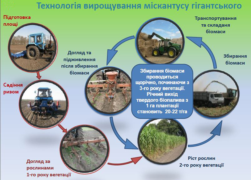 Дані Інституту біоенергетичних культур і цукрових буряків НААН України