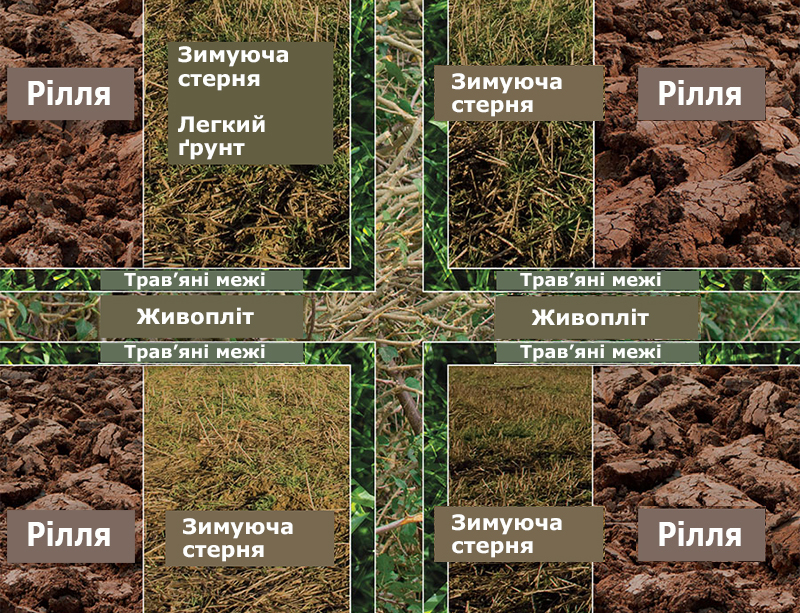 Схема розмежування полів на фермі Тіма Скотта (джерело: Farmer Weekly)