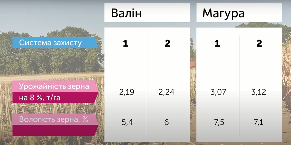 Порівняння ефективності систем захисту на 2 гібридах