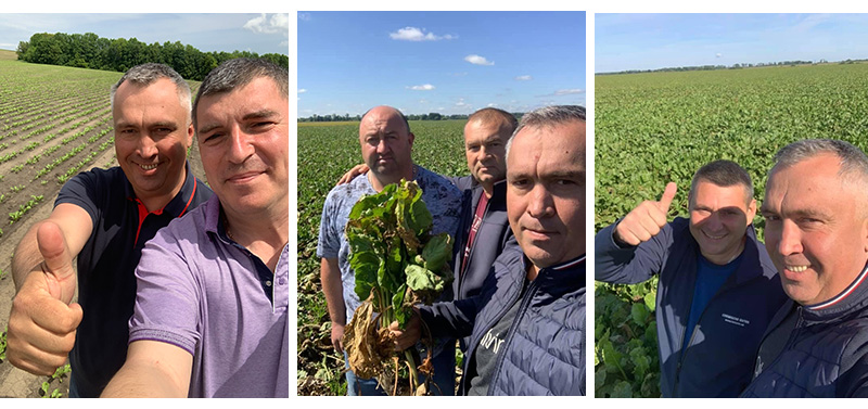 Фото з полів Черкащини, Київщини та Вінниччини, на яких застосовувались нові комбінації гербіцидів у 2021 р. На фото: Бондаренко Павло, Буз Руслан, Іванюк Петро, Заплетнюк Віктор та агроном «Галс Агро» Шкляренко Дмитро