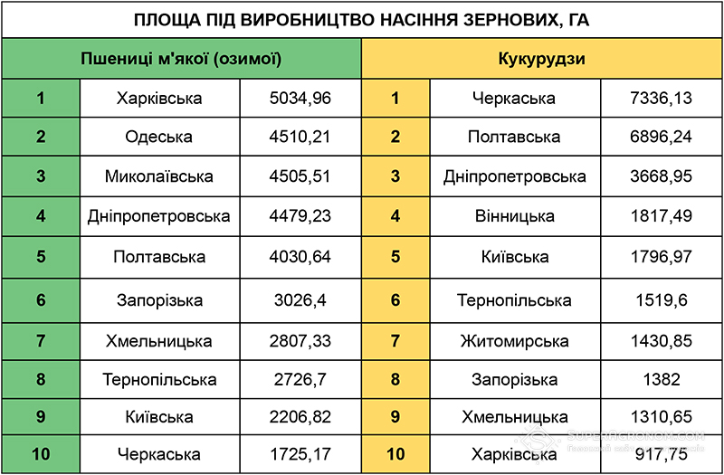 Площі під виробництво насіння зернових