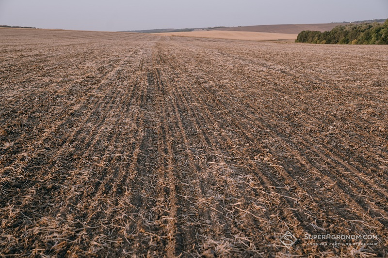 Поле за технологією strip-till