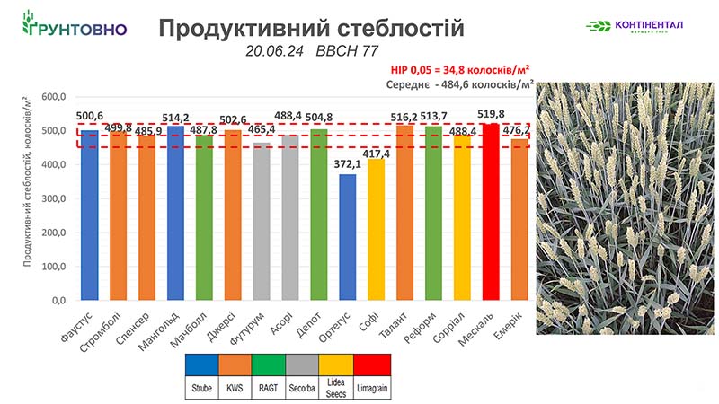 Рис. 7. Результати обліку продуктивного стеблостою